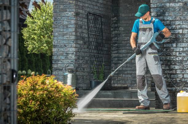 Best Gutter Cleaning  in Arthur, IL
